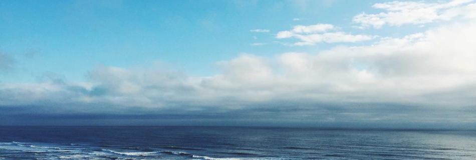 Featured image for Why 78% of Real Estate Sales Go to the First Responder (And How to Never Miss a Lead Again)